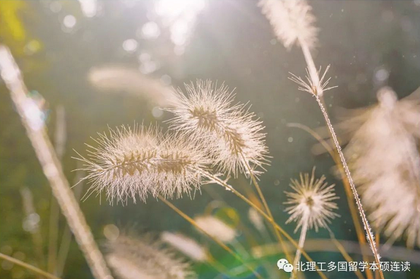 r20210304052327393.png
