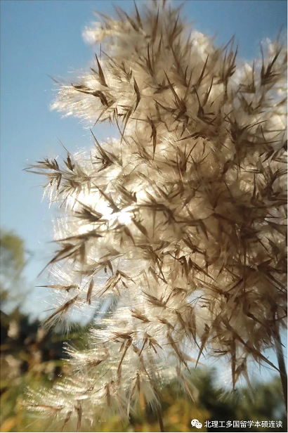 r202103040515115410.png